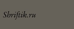 Garamand Classic Book Italic 